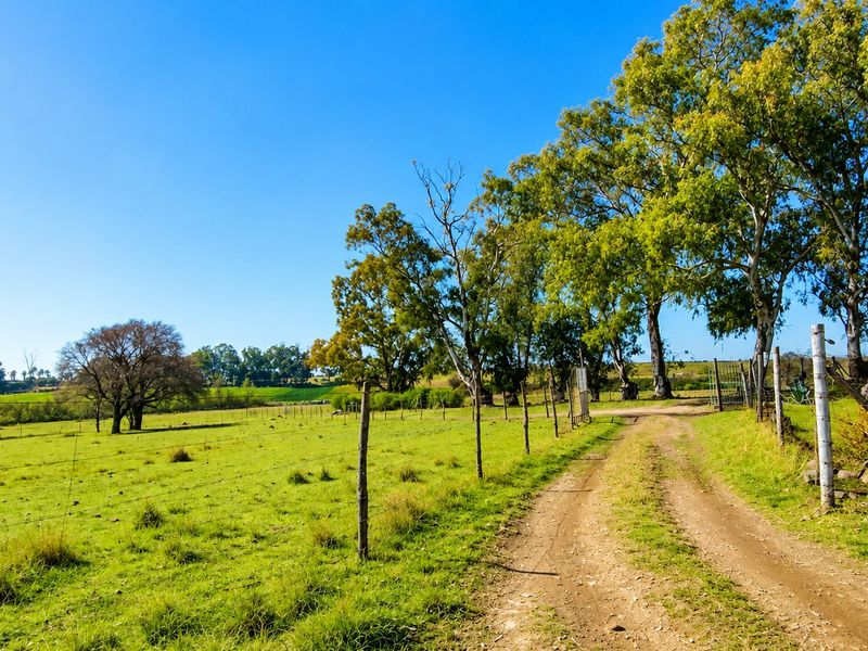 A scenic view of a farm property featuring a dirt access track, wire fencing, and established trees across open pasture land.
