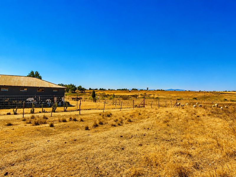 A wide-angle view of a farm property featuring a rustic outbuilding with a corrugated metal roof set against expansive dry grazing land.