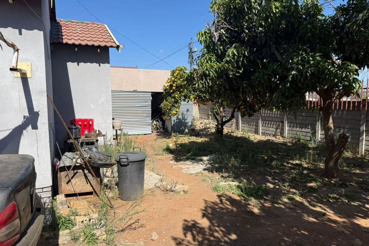 Rear yard area featuring a corrugated metal shed, concrete block boundary wall, and mature fruit tree, requiring landscaping and maintenance.