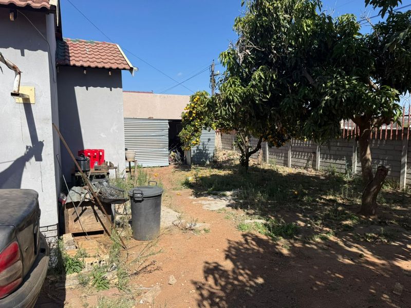 Rear yard area featuring a corrugated metal shed, concrete block boundary wall, and mature fruit tree, requiring landscaping and maintenance.