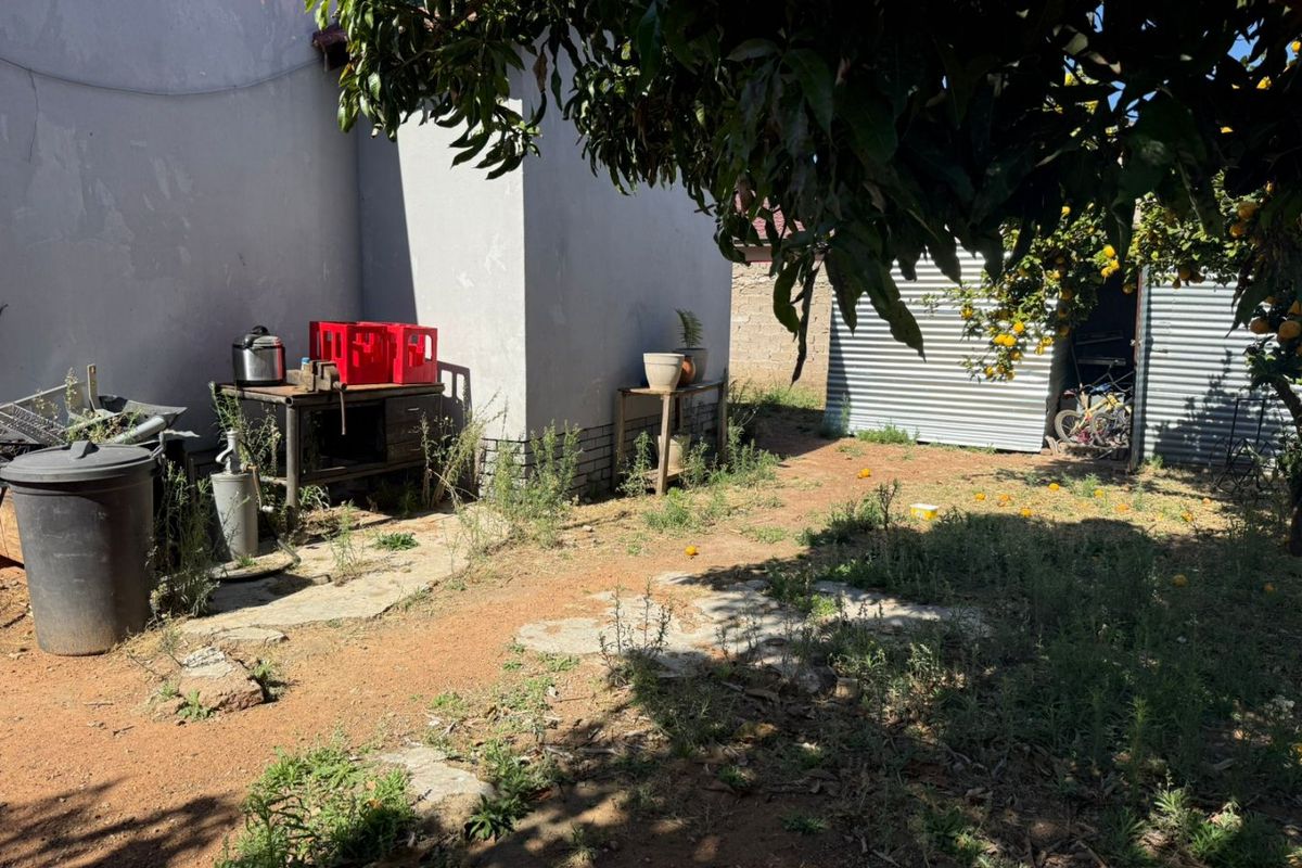 Rear garden area featuring a corrugated metal shed, mature fruit tree, and paved sections requiring landscaping and maintenance.