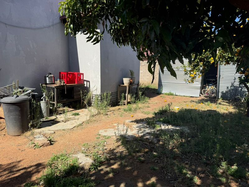 Rear garden area featuring a corrugated metal shed, mature fruit tree, and paved sections requiring landscaping and maintenance.