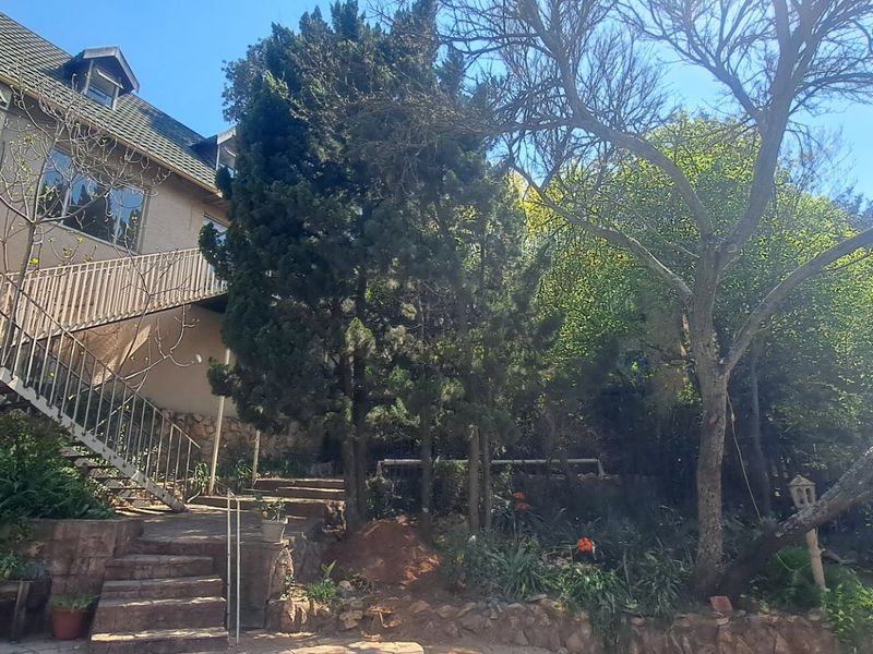 Rear exterior view of the property featuring a stone staircase, metal balustrade, and established garden area with mature trees.