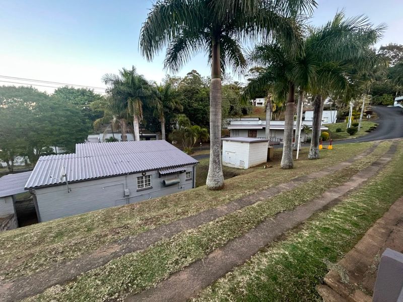 Exterior view of the property showing the rear building elevation, corrugated metal roofing, established palm trees, and a concrete driveway.