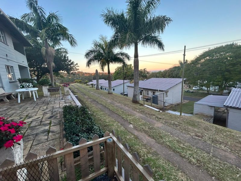 A rear exterior view of the property featuring a paved patio area, established palm trees, and a view over the surrounding residential grounds.