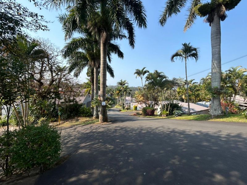 A view of the residential street approach featuring mature palm trees and paved road access within the apartment complex grounds.