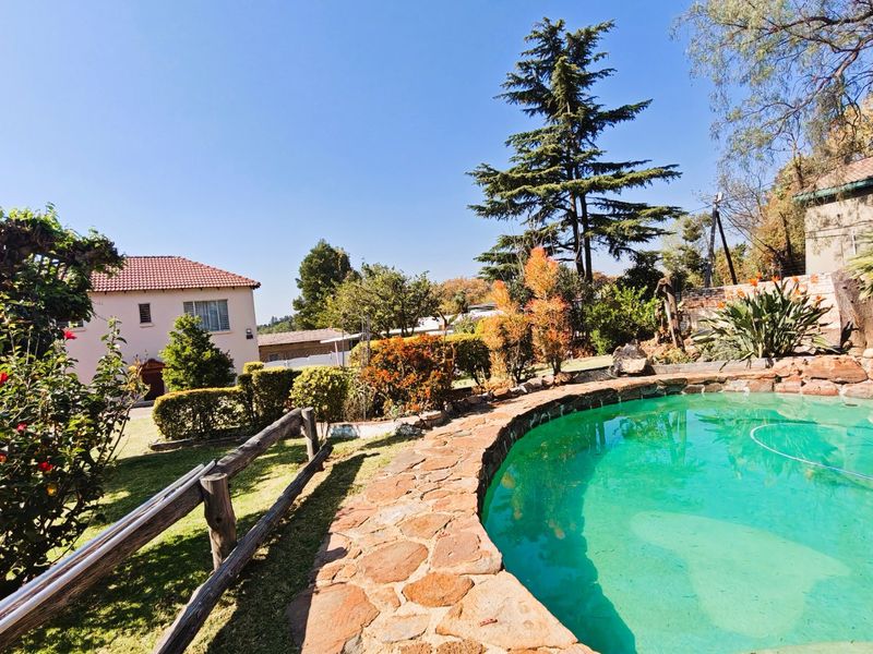 A sunny outdoor pool area featuring a stone-edged swimming pool, established garden landscaping, and a rustic timber fence.