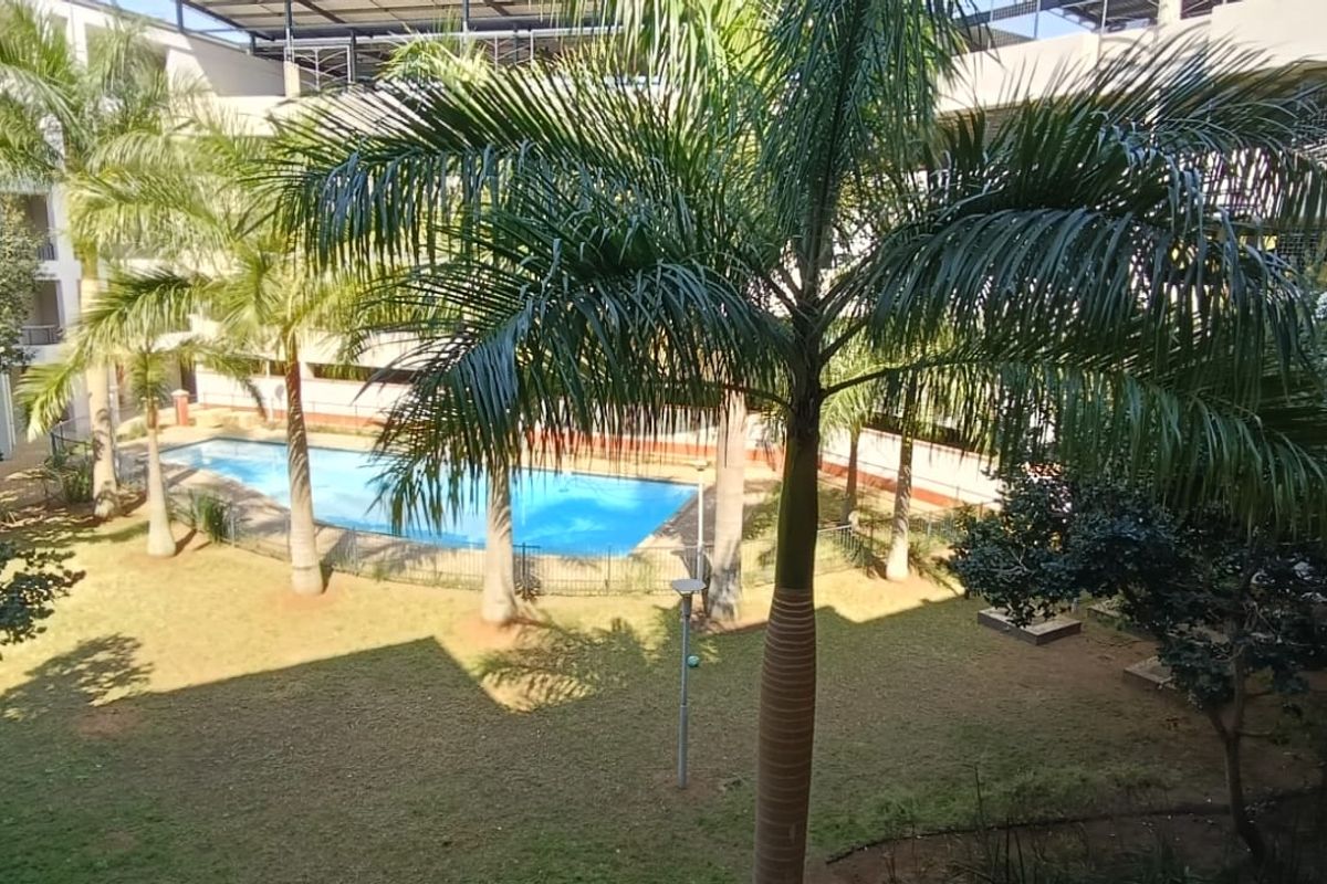 A view of the apartment complex communal garden area featuring a swimming pool, established palm trees, and secure perimeter fencing.
