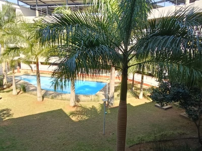 A view of the apartment complex communal garden area featuring a swimming pool, established palm trees, and secure perimeter fencing.