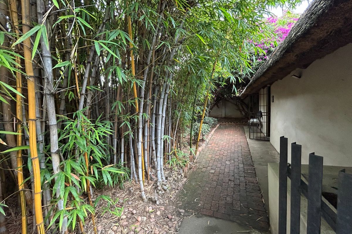 A rear exterior pathway featuring a brick walkway alongside a thatched roof structure and dense bamboo landscaping.