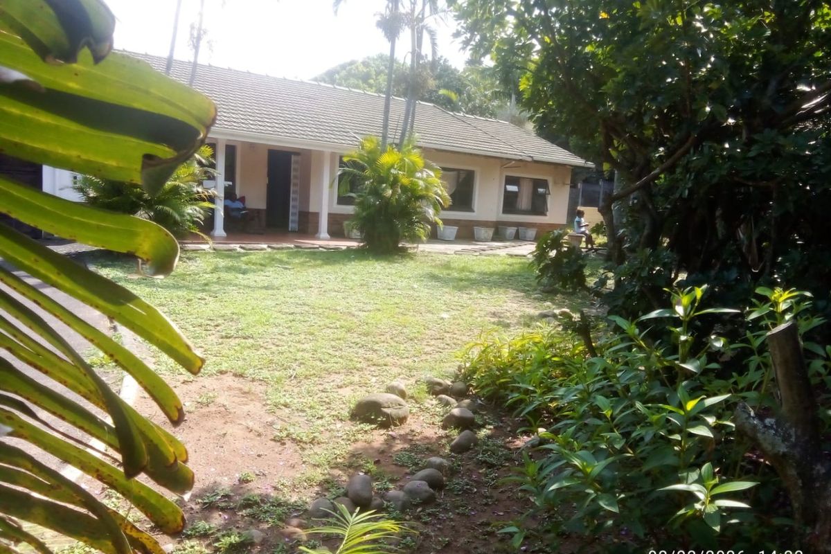 A view of the rear elevation of the house featuring a covered patio area and a well-established garden.
