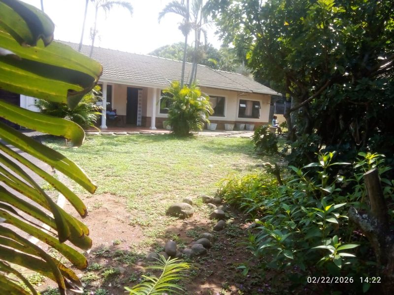 A view of the rear elevation of the house featuring a covered patio area and a well-established garden.