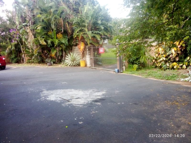Front entrance area featuring an asphalt driveway, metal security gate, and brick boundary wall surrounded by established garden foliage.