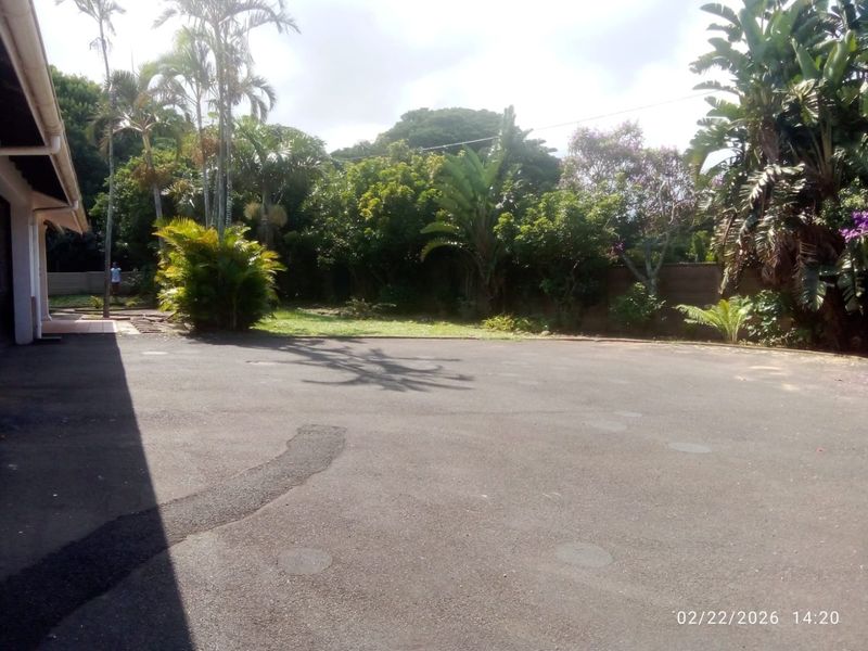 A spacious rear exterior area featuring a large asphalt driveway, mature garden landscaping, and a perimeter boundary wall.