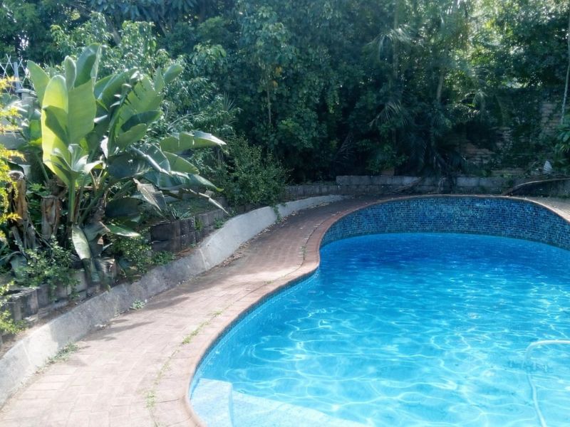 A private swimming pool area featuring a curved design, paved surround, and established garden landscaping with a retaining wall.