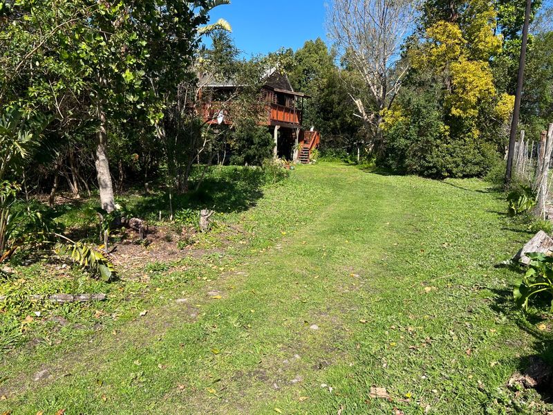A view of the rear of the property featuring an elevated wooden deck and staircase set within a large, established garden area.