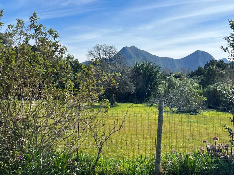 A scenic view of a grassy field and lush greenery with prominent mountain peaks in the background.