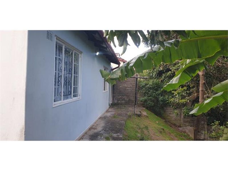 A view of the rear exterior of the house featuring a concrete pathway, security bars on windows, and surrounding garden area.