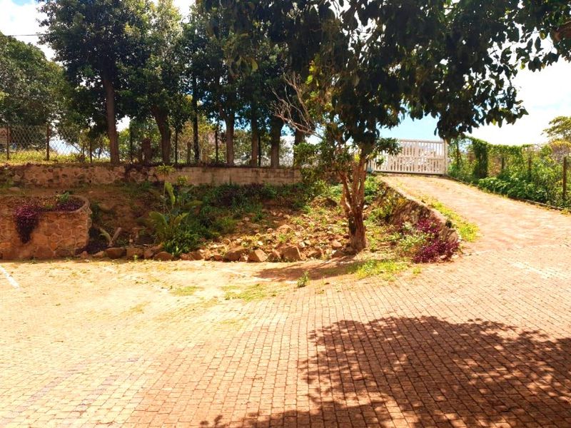 A paved driveway leading to a gated entrance, featuring a stone retaining wall and established trees in a natural garden setting.