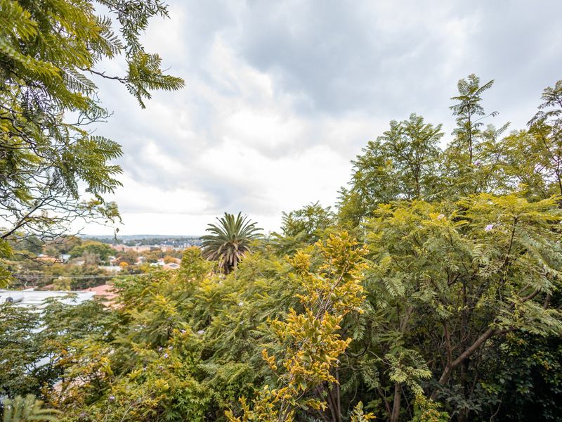A scenic elevated view overlooking the surrounding neighbourhood and lush greenery.