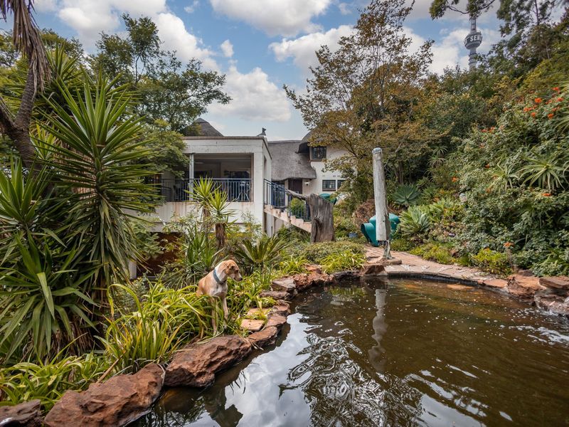 A lush, landscaped garden featuring a natural rock-lined pond, mature greenery, and a view of the multi-level residence with a thatched roof.