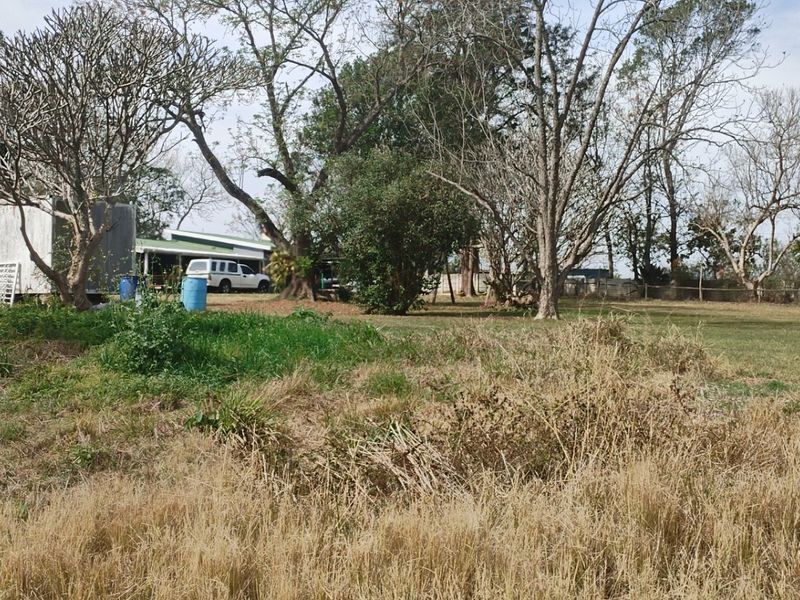 A large, expansive garden area featuring mature trees and perimeter fencing, currently requiring significant landscaping and maintenance.