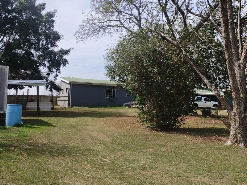 A spacious rear garden area featuring established trees, a lawn, and a view of the rear building elevation.