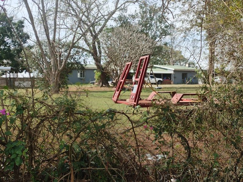 A view of the rear garden area featuring a lawn, mature trees, and a chain-link boundary fence.