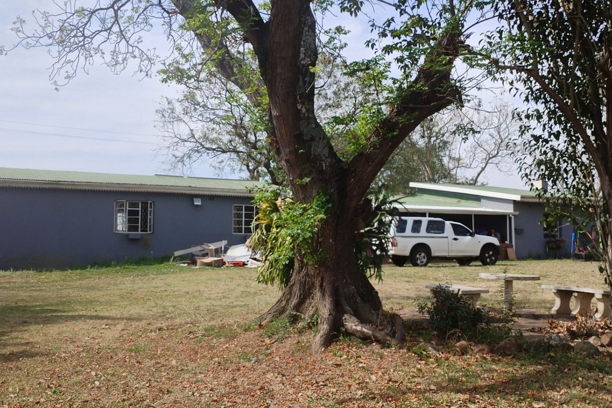 Rear view of the property featuring a large garden, mature trees, and a simple single-story structure with a corrugated metal roof.