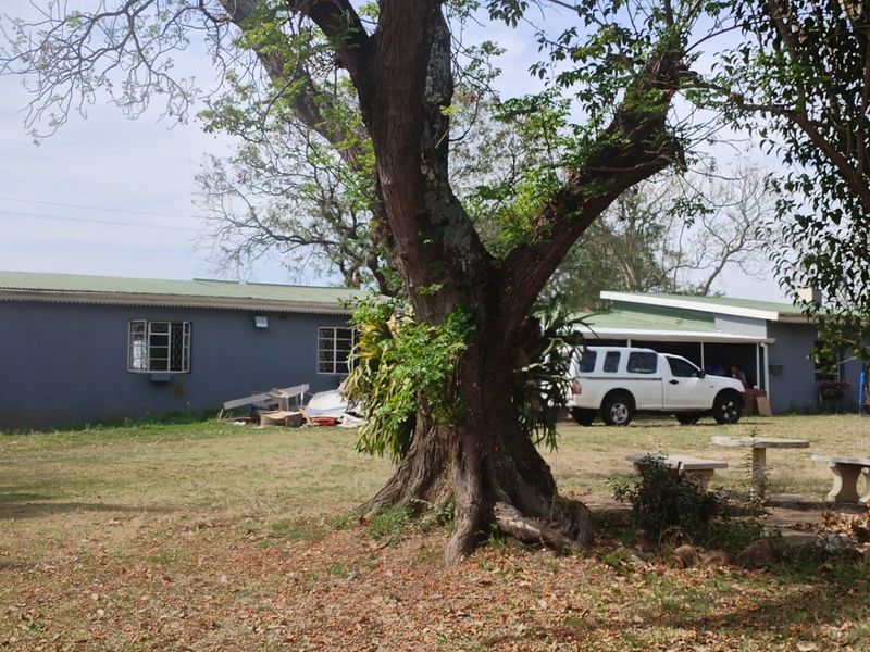 Rear view of the property featuring a large garden, mature trees, and a simple single-story structure with a corrugated metal roof.