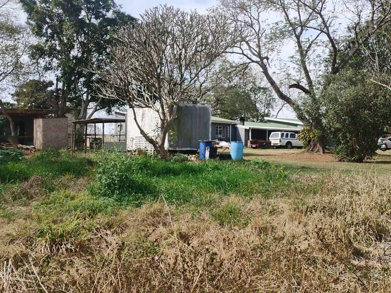 A view of the rear yard area featuring mature trees and overgrown grounds, showing the rear elevation of the property structures.