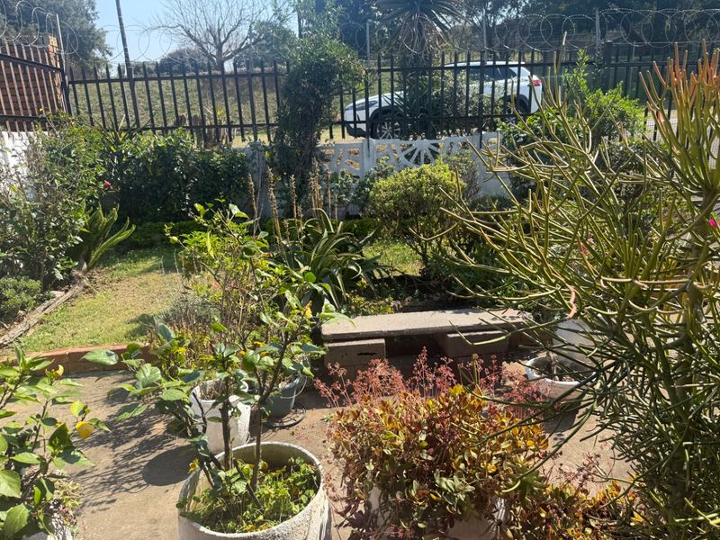 A private garden area featuring concrete paving, established landscaping, and secure perimeter fencing with razor wire.