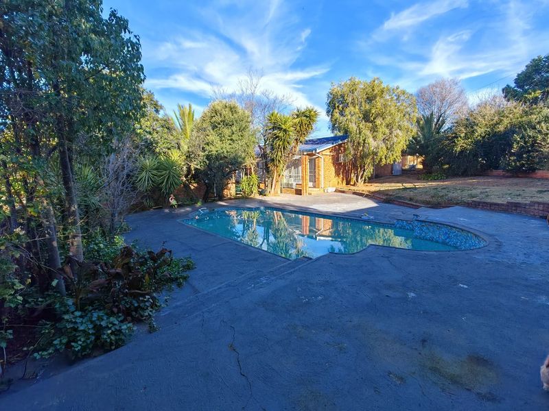 A backyard pool area featuring a swimming pool with a surrounding concrete deck and mature garden landscaping.