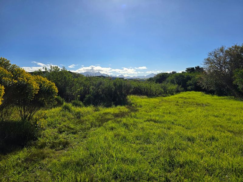 A view of a vacant residential plot featuring natural grassland, native shrubs, and distant mountain views under a clear blue sky.