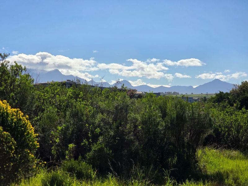 A scenic view of the surrounding landscape featuring natural vegetation and a distant mountain range under a clear blue sky.