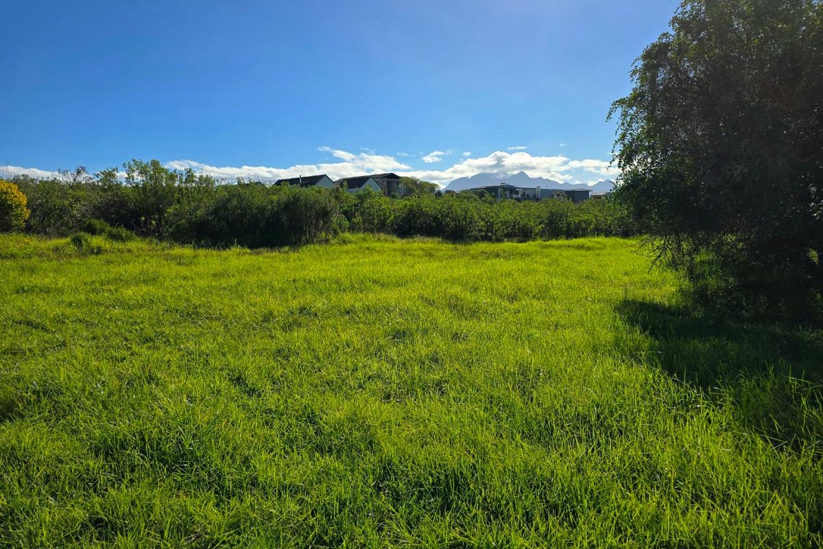 A view of a vacant residential plot featuring open grassland and mature trees with distant mountain views.