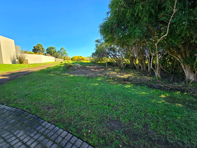 A view of a residential vacant land plot featuring a paved driveway, established lawn, and mature trees along the boundary.