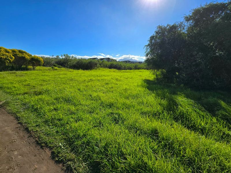 A view of a grassy vacant residential plot featuring mature trees and a dirt path under a clear blue sky.