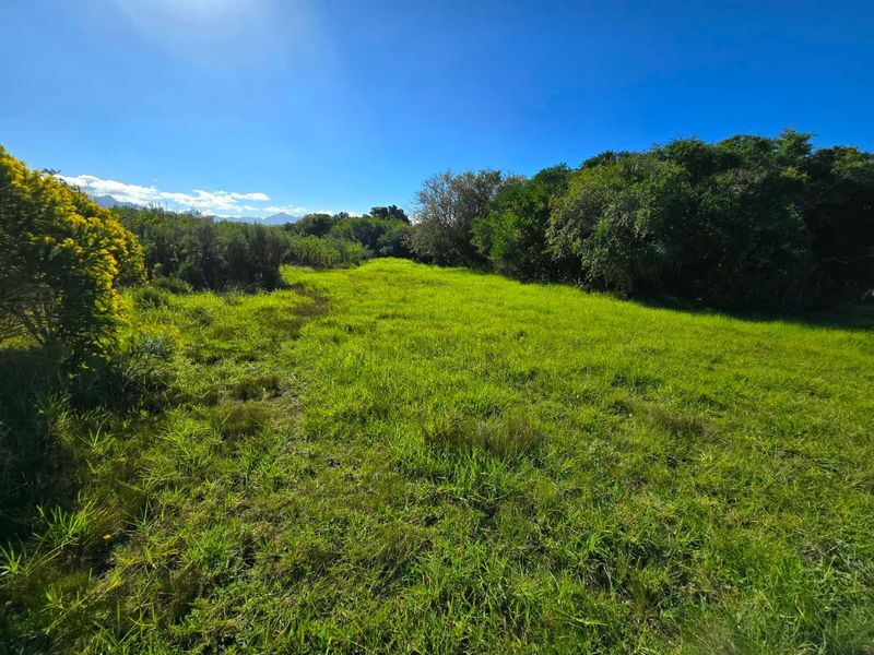 A view of a vacant residential plot featuring natural grassland and established perimeter vegetation under a clear blue sky.