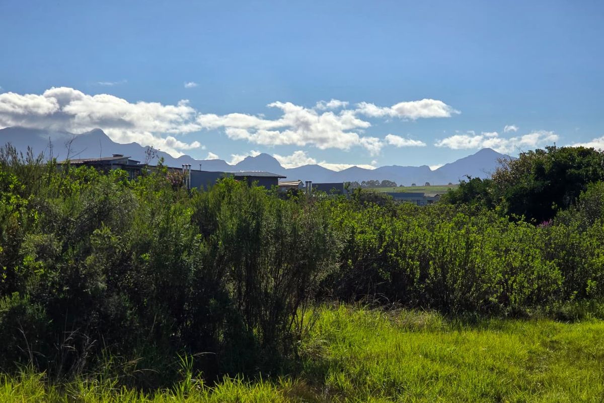 A scenic view of the surrounding landscape featuring natural vegetation and a distant mountain range under a clear blue sky.