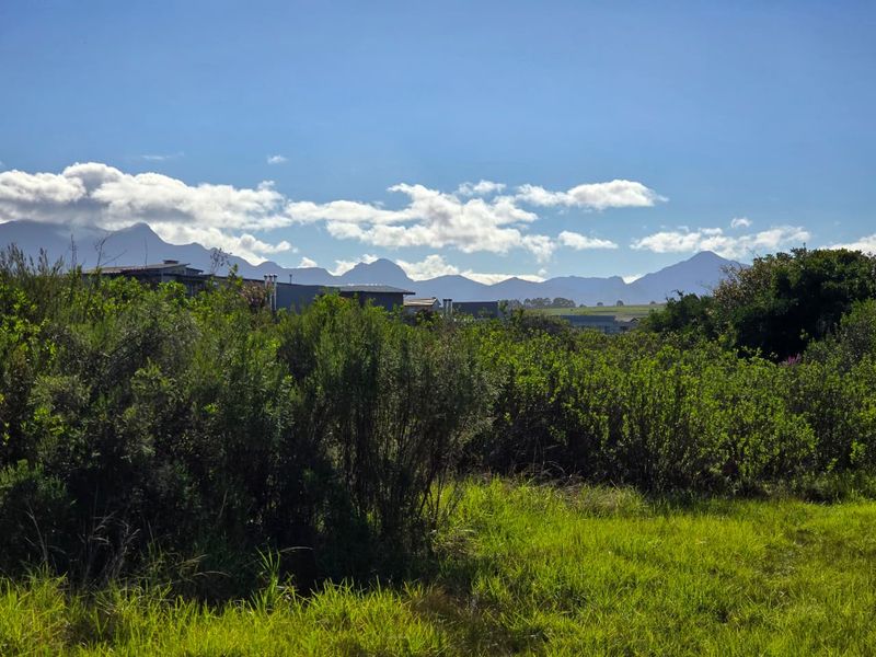 A scenic view of the surrounding landscape featuring natural vegetation and a distant mountain range under a clear blue sky.