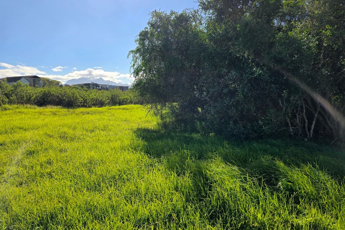 A view of a grassy vacant residential plot featuring mature trees and surrounding landscape.