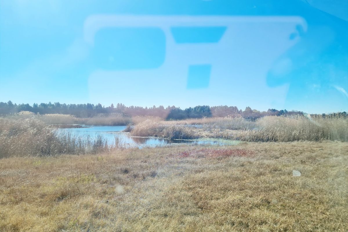 A scenic view of a natural wetland area with surrounding grassland and trees, captured from a vehicle.