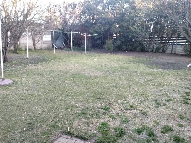 A spacious backyard featuring a large lawn area, established trees, and perimeter timber fencing, offering potential for landscaping and outdoor improvement.