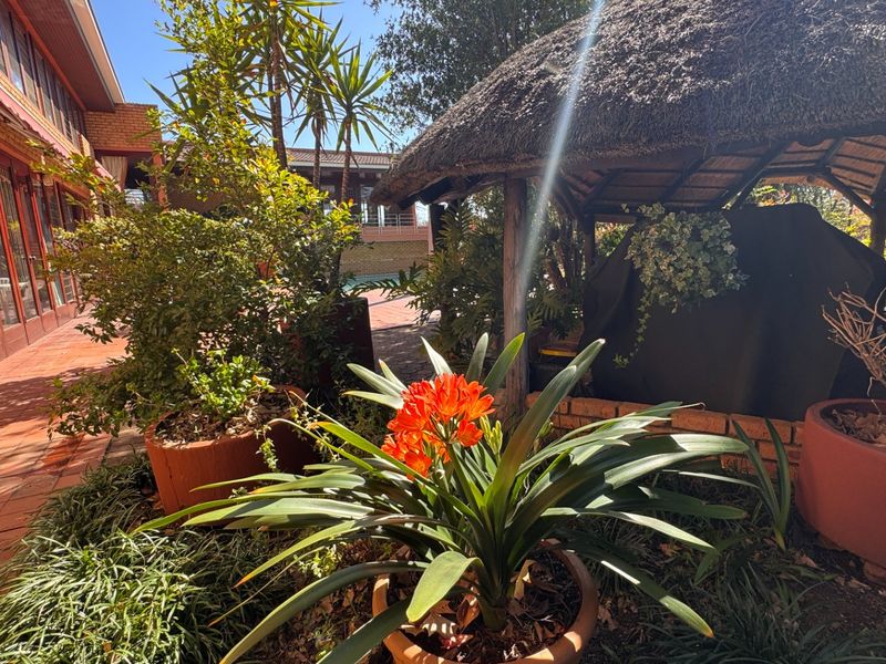 A sunny outdoor patio area featuring a traditional thatched lapa, brick paving, and direct access to the main house through large sliding glass doors.