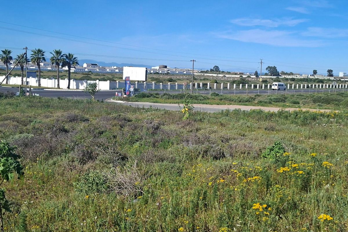 A vacant residential plot featuring natural vegetation, perimeter fencing, and direct access to a paved street in a developing neighborhood.