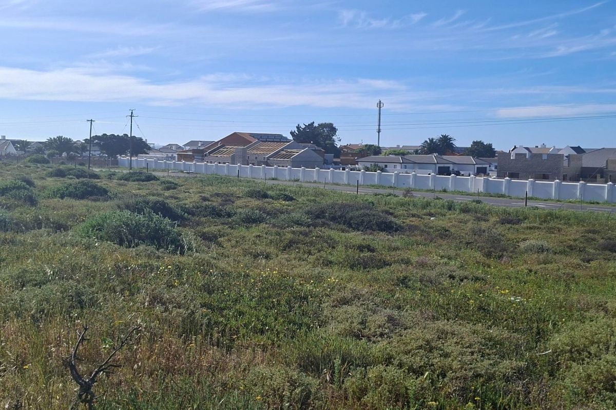 A vacant residential plot featuring natural vegetation, bordered by a boundary wall and adjacent to a paved road with surrounding residential development.
