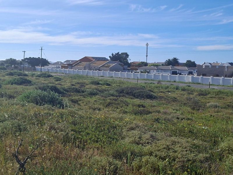 A vacant residential plot featuring natural vegetation, bordered by a boundary wall and adjacent to a paved road with surrounding residential development.