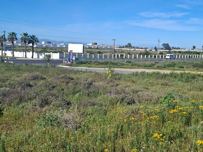 A vacant residential plot featuring natural vegetation, perimeter fencing, and direct access to a paved street in a developing neighborhood.