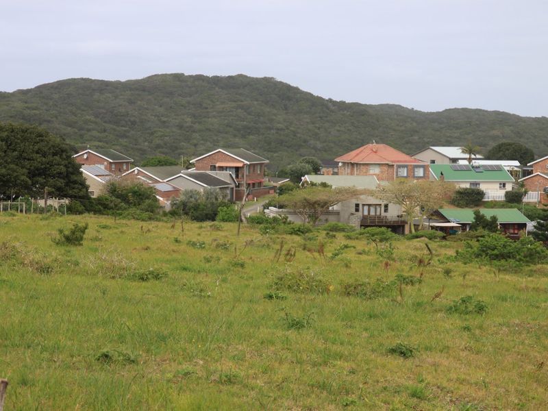 A view of an undeveloped residential plot of land with a backdrop of established homes and a forested hill.